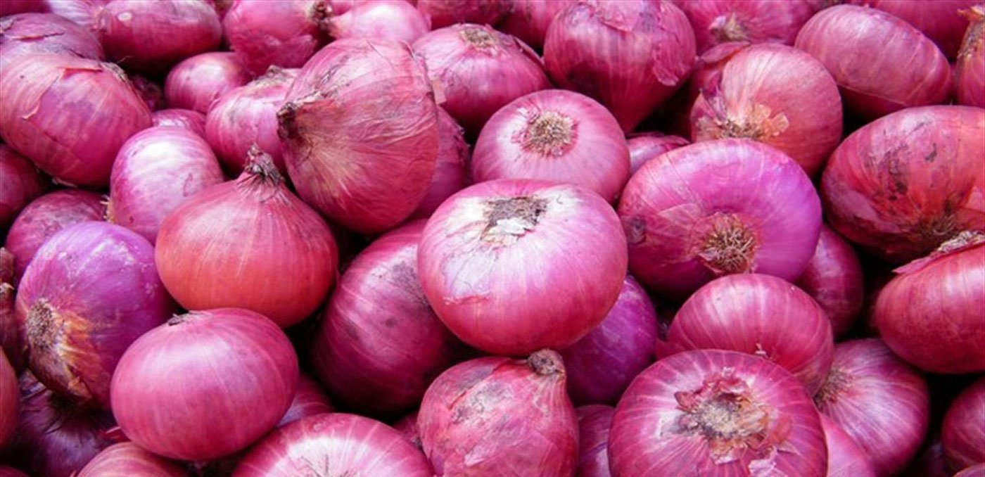 اليصل